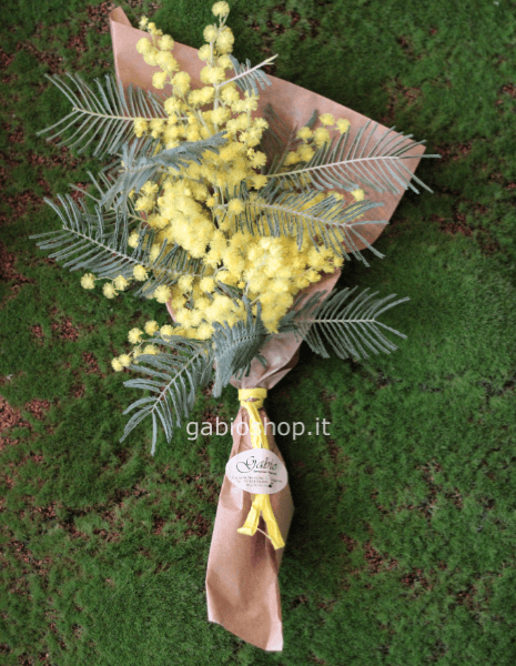mazzetto mimosa