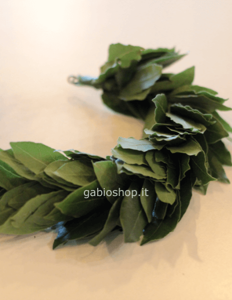 coroncina laurea regolabile